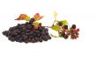 Pile of blackberries.