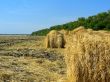 haystack