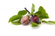 Two fresh plums.