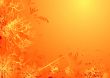 floral mellow orange