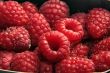 raspberries