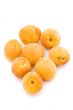 apricot on white background