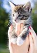 little one