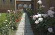 Garden of a church