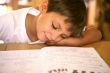  Young reader sleeping