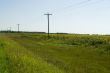 Prairie Ditch