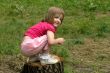 little girl on the stump