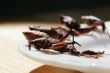 fried grasshoppers