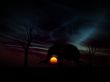 Elephant Sunrise