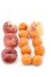 Colored apricot and peach