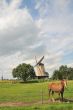 Dutch landscape