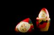 christmas Santa claus