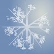 Snowflake illustration