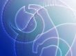 Spiral fronds design