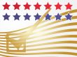 USA election voting illustration