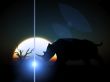 Rhino Wildlife