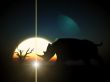 Rhino Wildlife