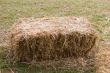 Hay Bale