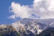 Caucasus