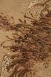 Water-plant on sand background