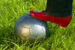 Food on ball