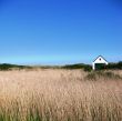 A hut in the dunes