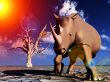 Rhino Wildlife