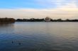 Jefferson Memorial at the evening