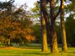 autumnal park