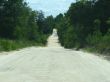 Wooded Country Road