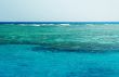 Reffs in the sea.