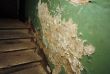 Old wall