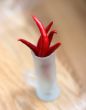 red peppers in a frosted glass on wood table