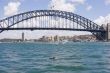 Bridge and Canoeist