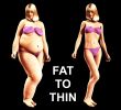 Fat To Thin