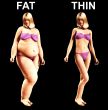 Fat To Thin