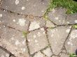Pavement