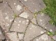 Pavement