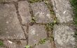 Pavement