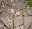 Pavement