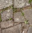 Pavement