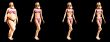 Fat To Thin