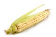 corn in cob on white