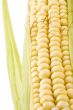 corn on white