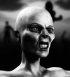 New Zombie