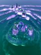 Splish Splash