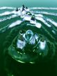 Splish Splash