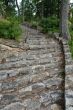 Stone Stairs in Woods