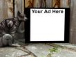 Cat Sign 20