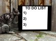 Cat Sign
